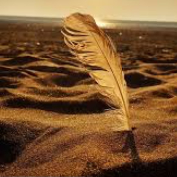 Bundle and save - Picture 5 of 8